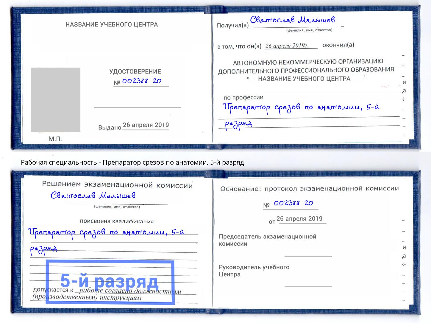 корочка 5-й разряд Препаратор срезов по анатомии Владивосток