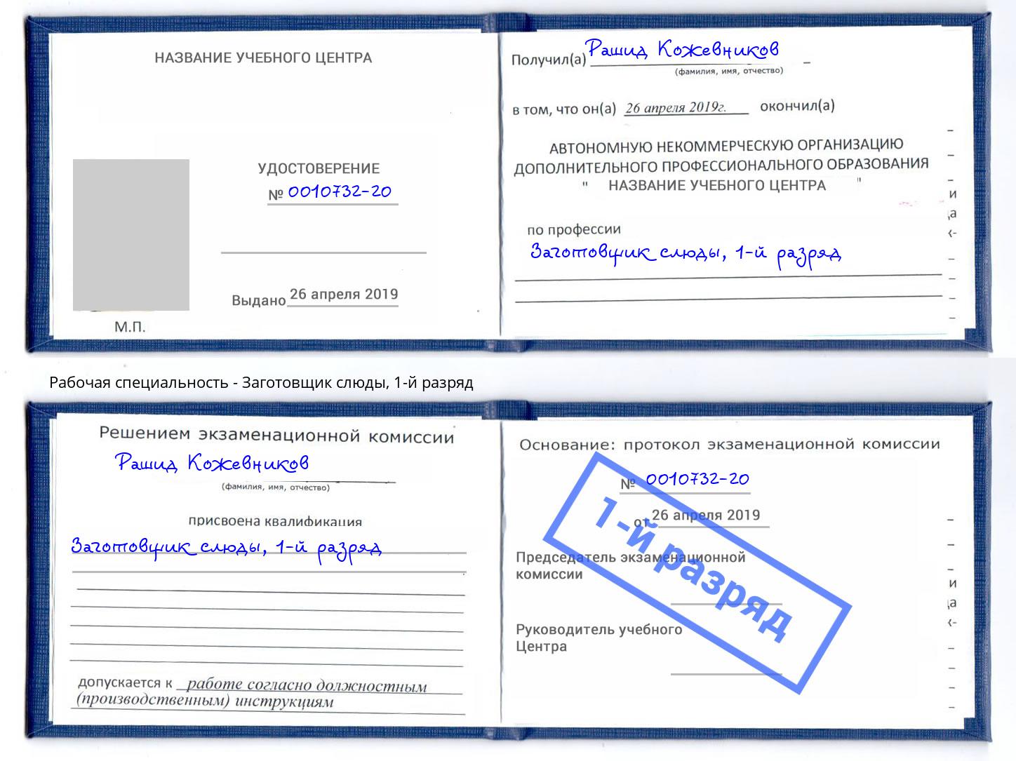 корочка 1-й разряд Заготовщик слюды Владивосток