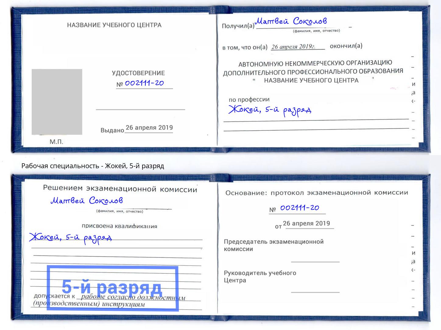 корочка 5-й разряд Жокей Владивосток